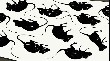 ns105086.jpg